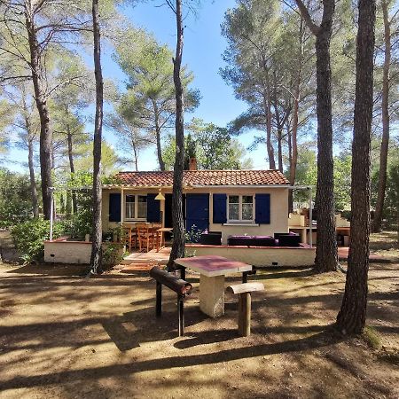 Maisonnette En Pleine Nature Ле-Боссе Экстерьер фото